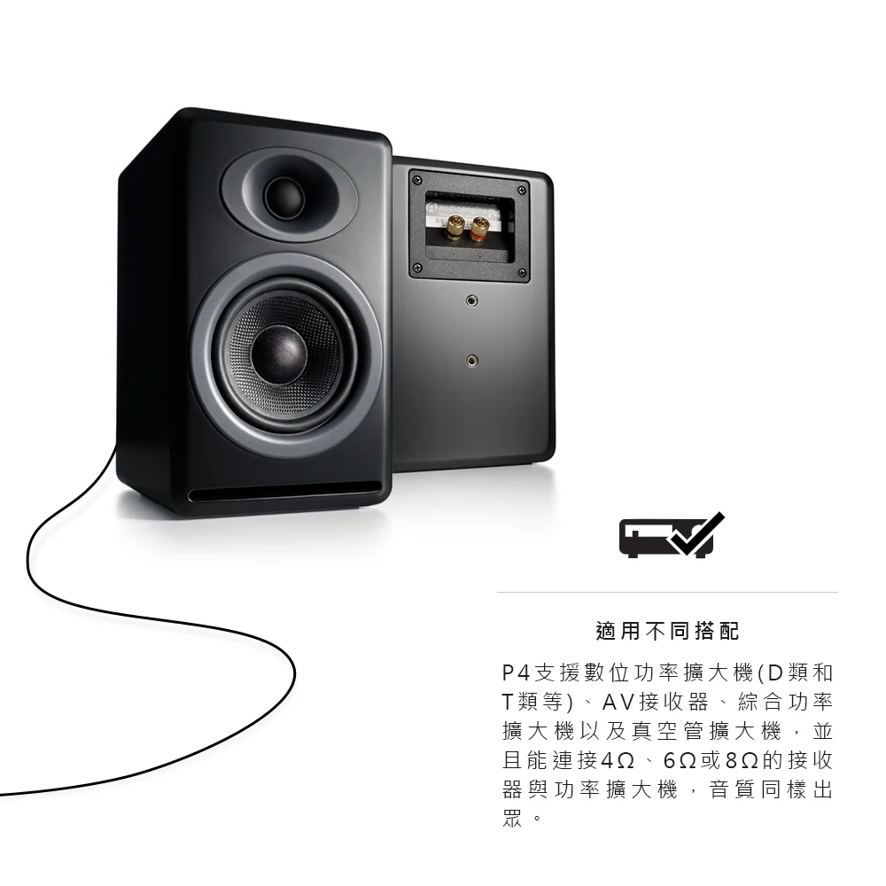 Audioengine P4 被動式喇叭 （竹紋款）